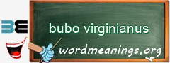 WordMeaning blackboard for bubo virginianus